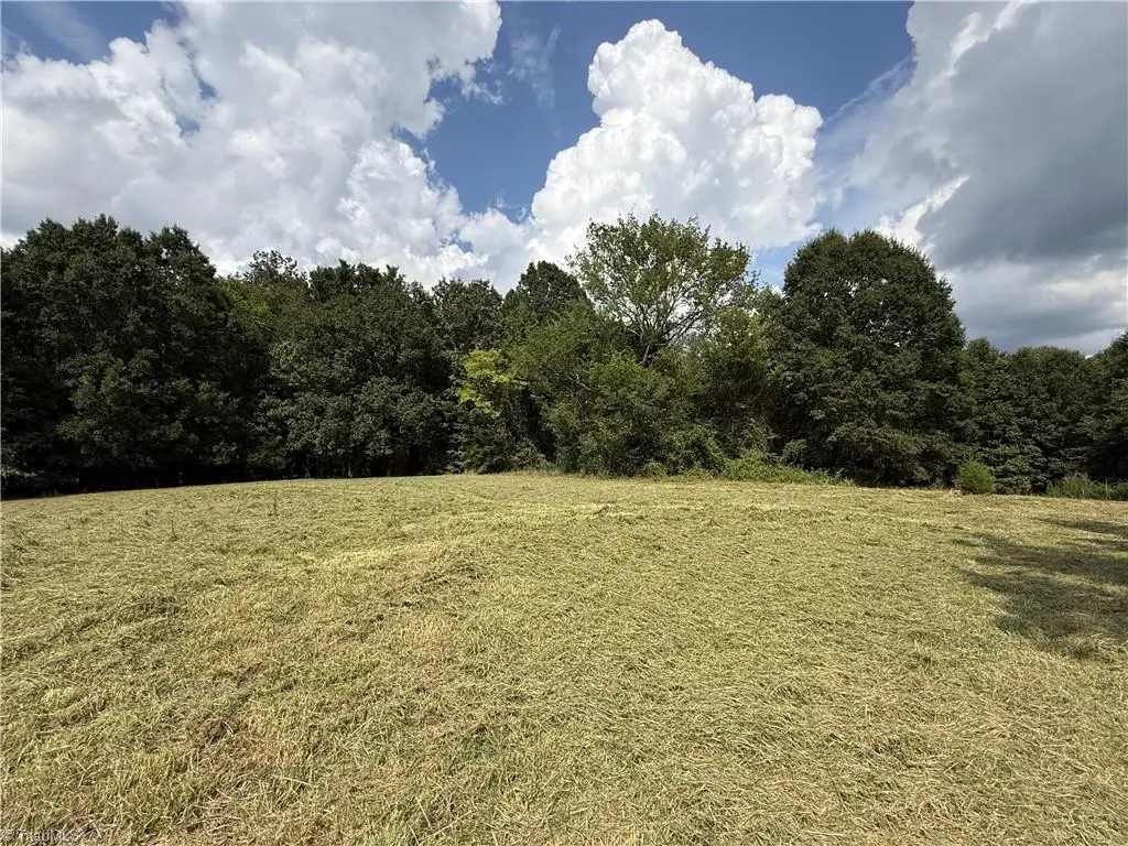 3329 Jerusalem Road, Lexington, NC 27292 - #1