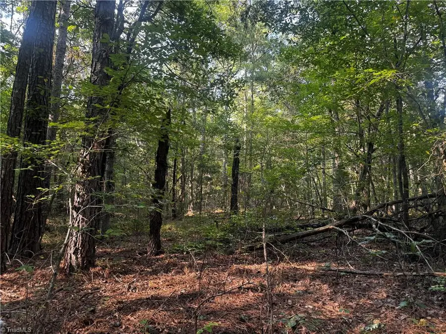00 Sheffield Road, Seagrove, NC 27341 - #3