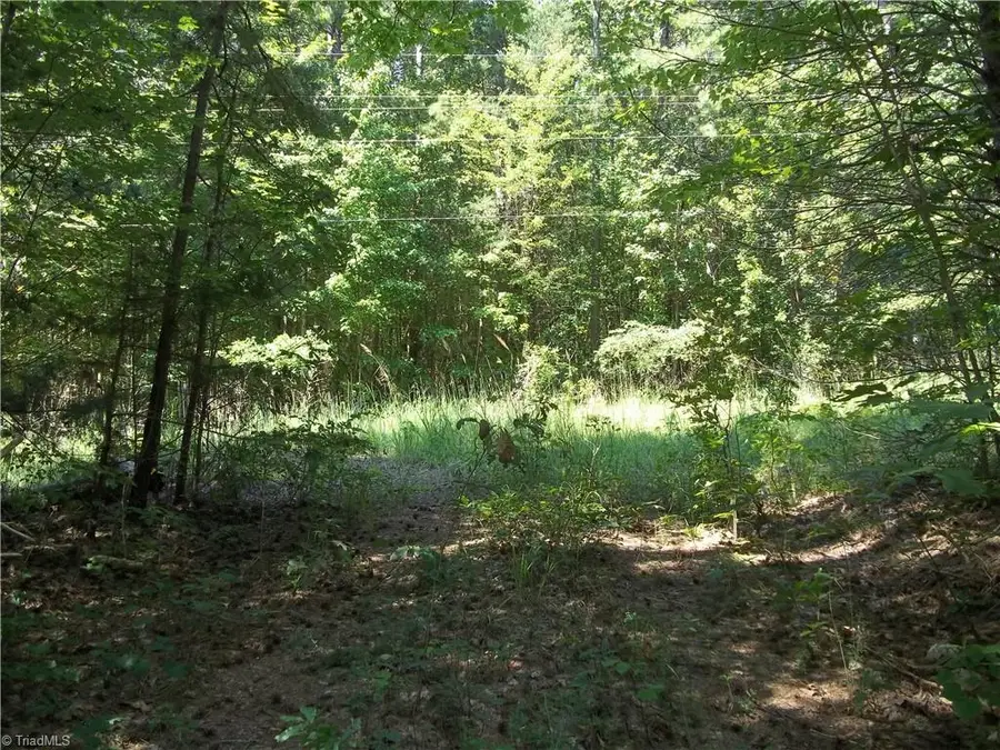 0 Clyde King Road, Seagrove, NC 27341 - #3