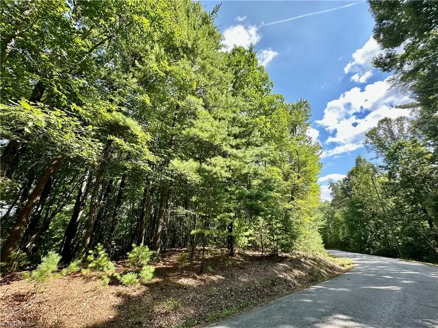 LOT 2 Sutters Ridge Road, McGrady, NC 28649 - #2