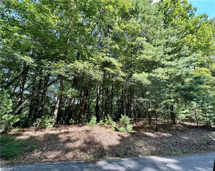 LOT 2 Sutters Ridge Road, McGrady, NC 28649 - #3