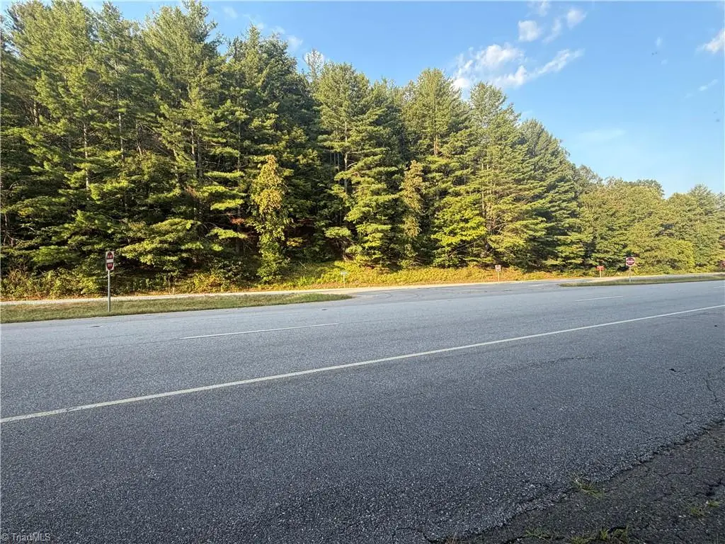 0 W Us Highway 421, Purlear, NC 28665 - #1