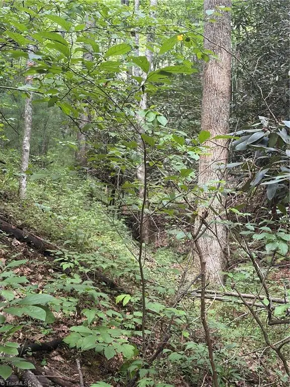 TBD Old Nc Highway 16, Millers Creek, NC 28651