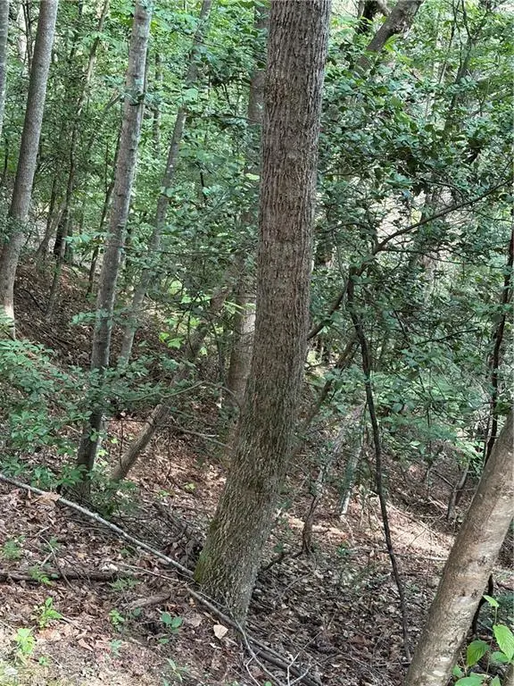 TBD Old Nc Highway 16, Millers Creek, NC 28651 - #2