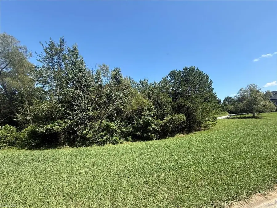 2930 Reginas Way, Randleman, NC 27317 - #2