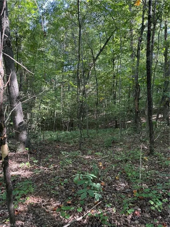 5102 Waynick Meadow Road, Asheboro, NC 27205 - #3