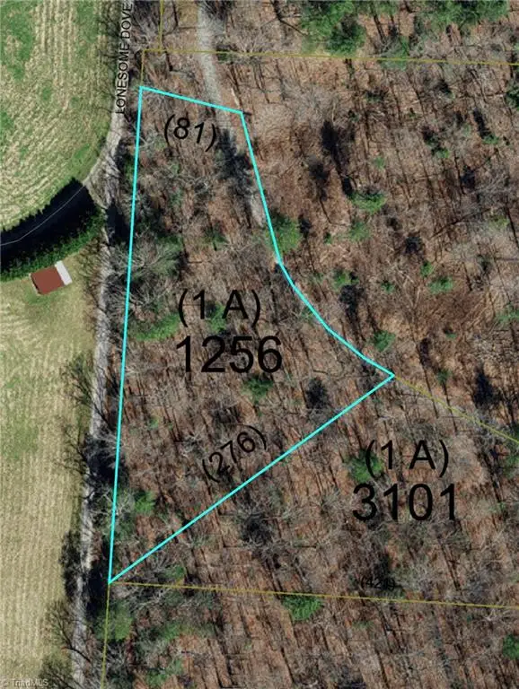 1653 Walshtown Road, Boomer, NC 28606 - #1