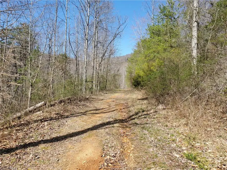 8057 Nc Highway 16, Moravian Falls, NC 28654 - #2