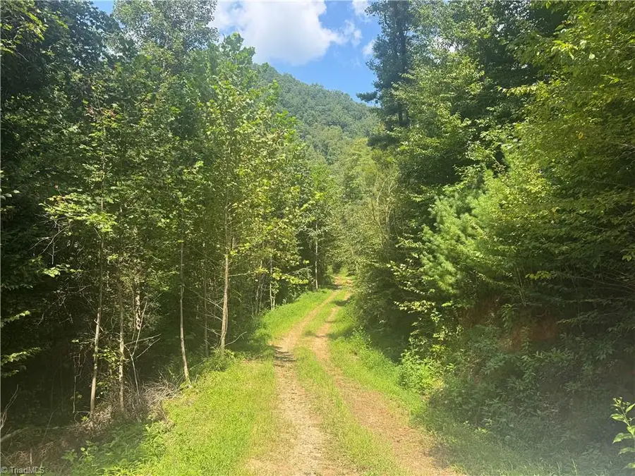 TBD Stony Fork Road, Ferguson, NC 28624 - #3