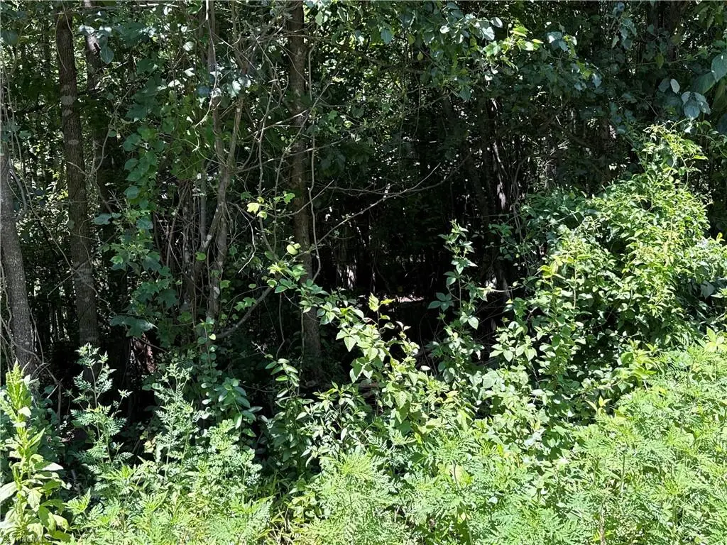 TBD Worthington Drive, North Wilkesboro, NC 28659 - #1