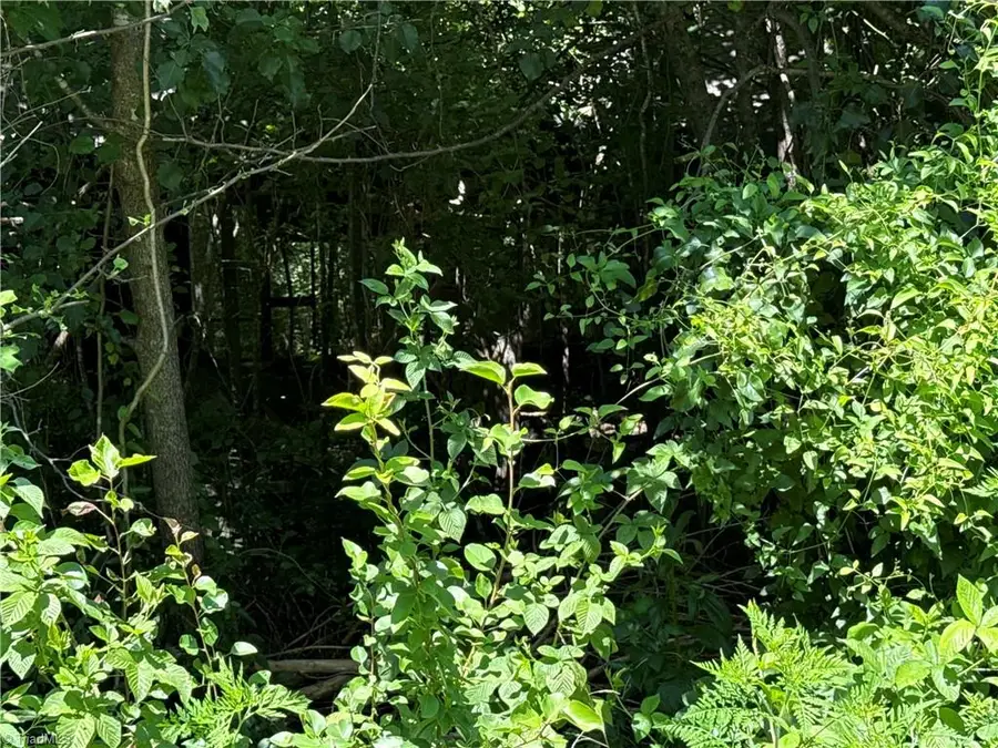 TBD Worthington Drive, North Wilkesboro, NC 28659 - #2