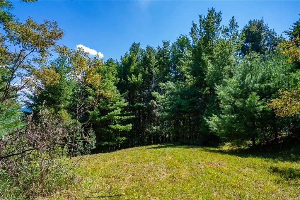 257 Alta Vista Lane, Sparta, NC 28675 - #1