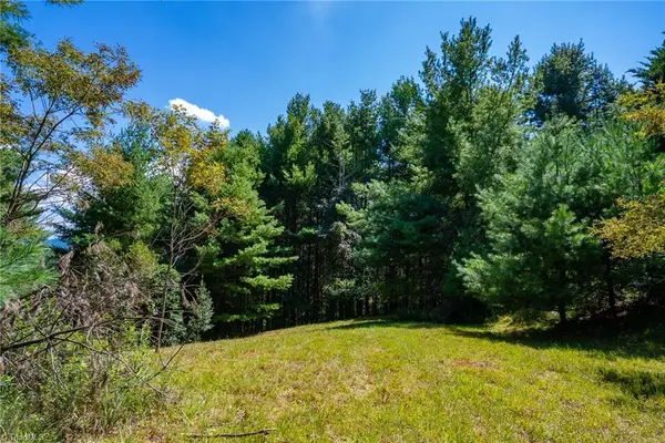 257 Alta Vista Lane, Sparta, NC 28675
