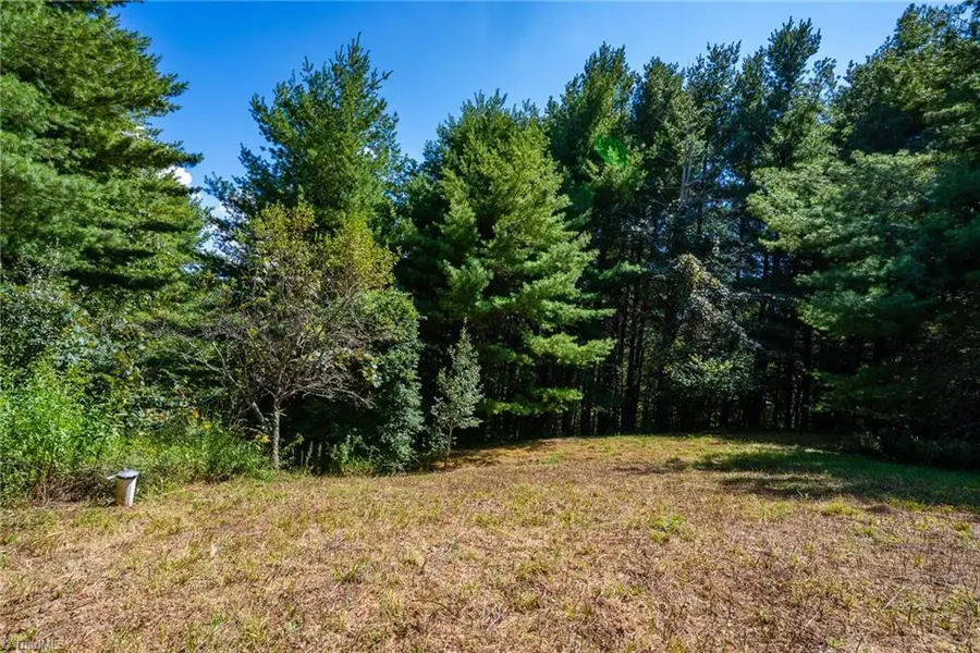 257 Alta Vista Lane, Sparta, NC 28675 - #3