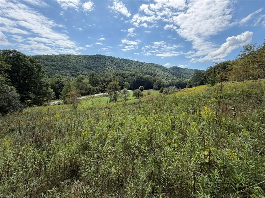 108 E Mill Creek Road, Old Fields, NC 28684 - #3