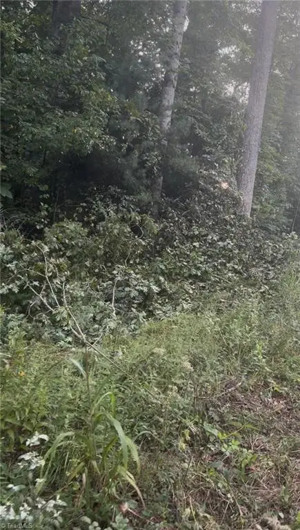 Lot 1 Edgewood Road, Wilkesboro, NC 28697 - #3