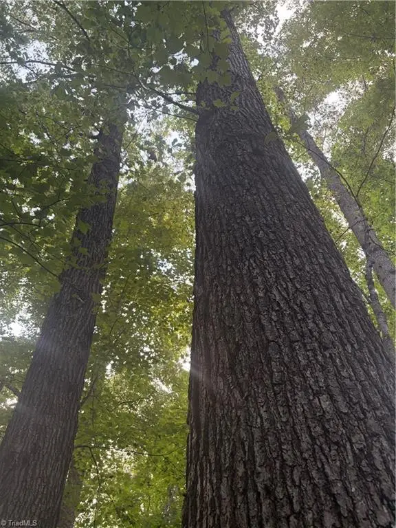 Lot 3 Edgewood Road, Wilkesboro, NC 28697 - #1