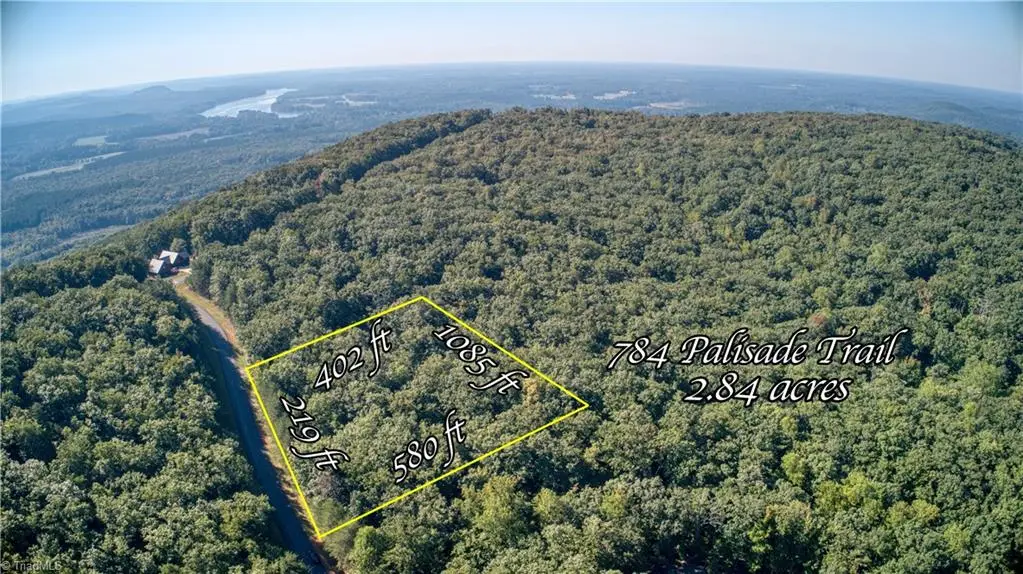 784 Palisade Trail, Denton, NC 27239 - #1