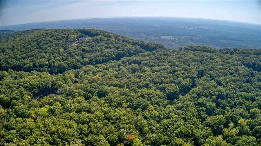 784 Palisade Trail, Denton, NC 27239 - #3