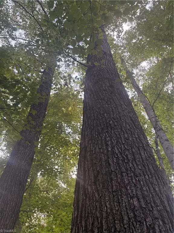 Lot 4 Edgewood Road, Wilkesboro, NC 28697
