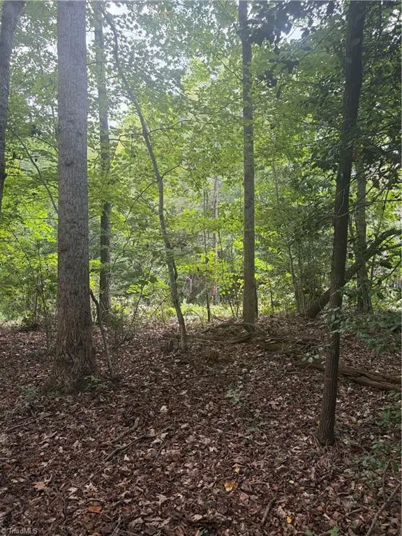 Lot 5 Edgewood Road, Wilkesboro, NC 28697 - #2