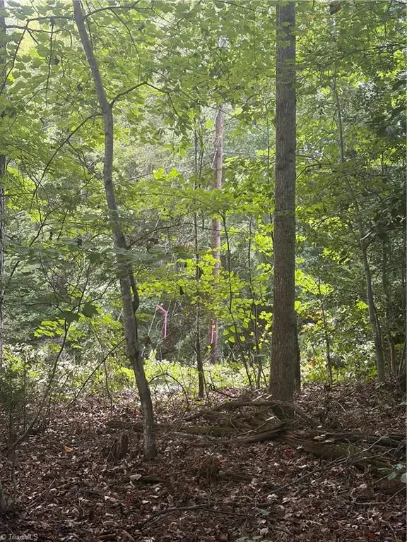Lot 5 Edgewood Road, Wilkesboro, NC 28697 - #3