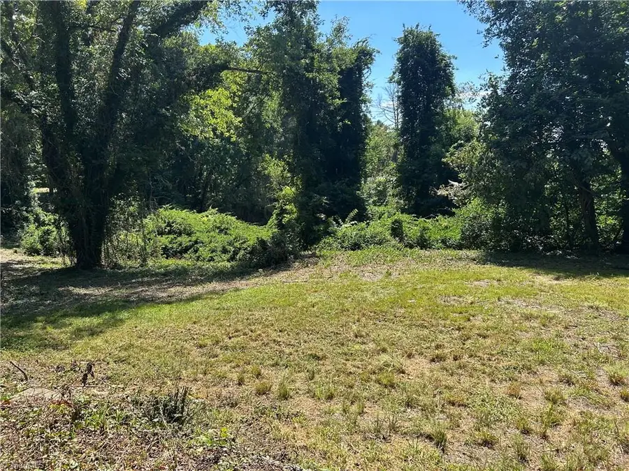 TBD Linville Road, Mount Airy, NC 27030 - #2