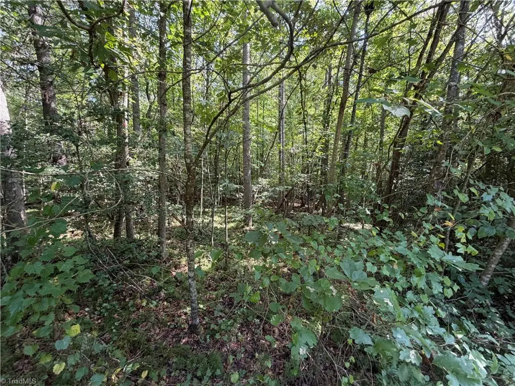 Lots 20 & 21 Zinzendorf Lane, Moravian Falls, NC 28654 - #1