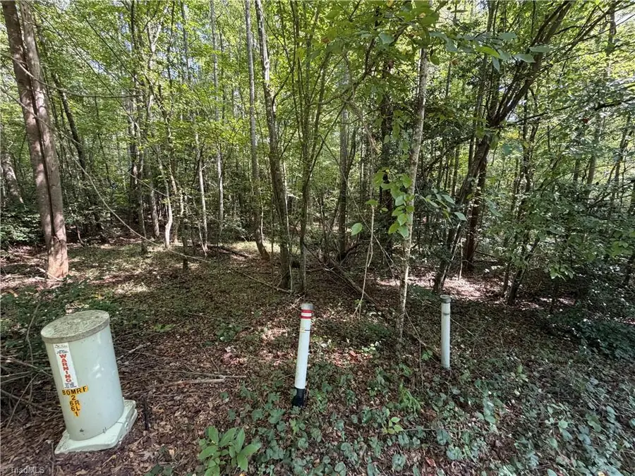 Lots 20 & 21 Zinzendorf Lane, Moravian Falls, NC 28654 - #3
