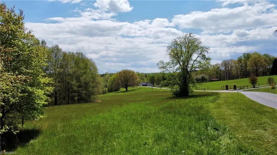 TBD George Chandler Road, Mount Airy, NC 27030 - #3