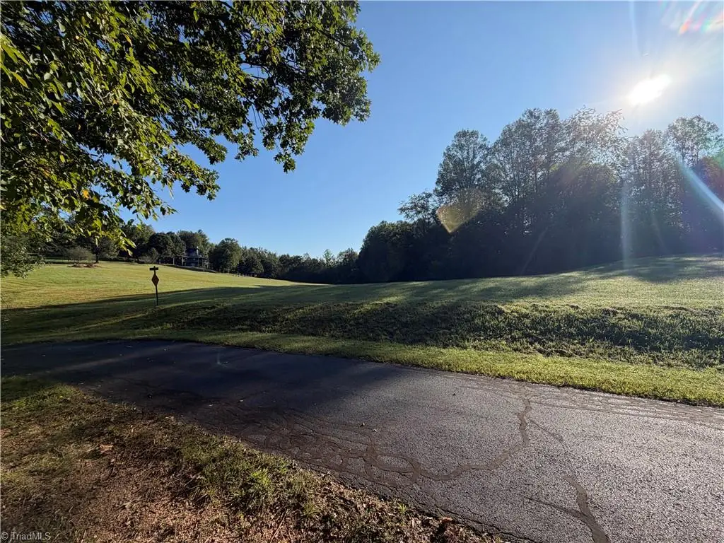 Lot 29 Cabin Cove Lane, Moravian Falls, NC 28654 - #1