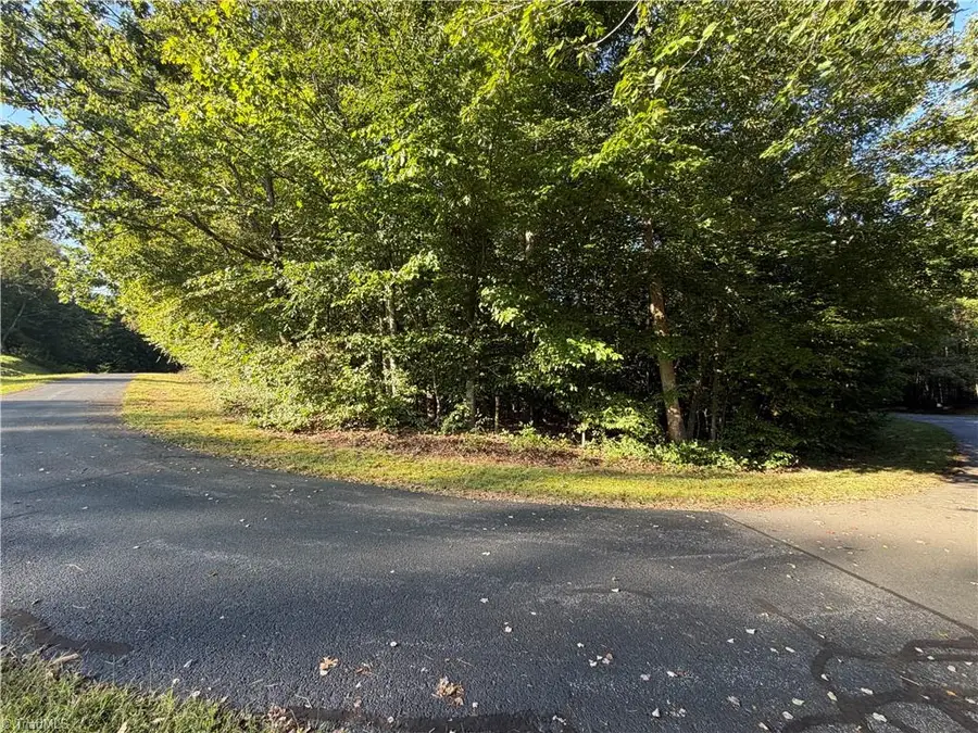 Lot 29 Cabin Cove Lane, Moravian Falls, NC 28654 - #3