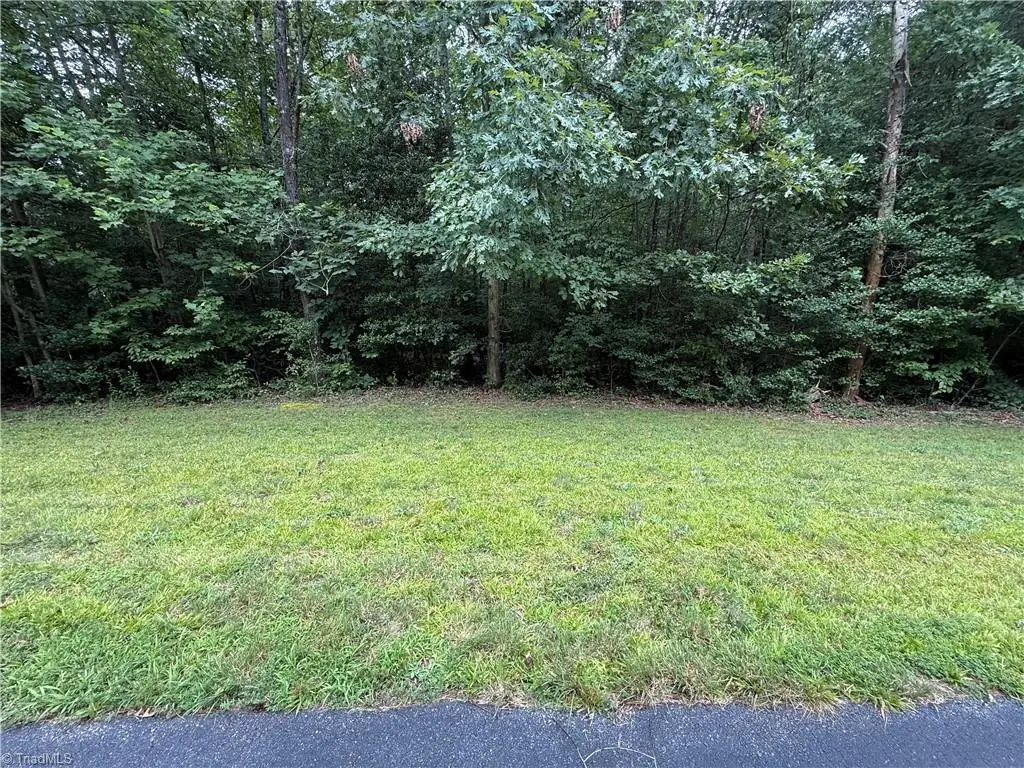 Lot 22 Zinzendorf Lane, Moravian Falls, NC 28654 - #1