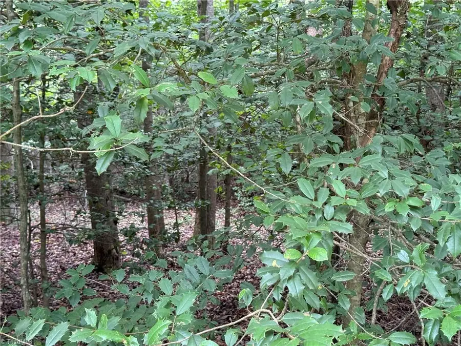 Lot 22 Zinzendorf Lane, Moravian Falls, NC 28654 - #2
