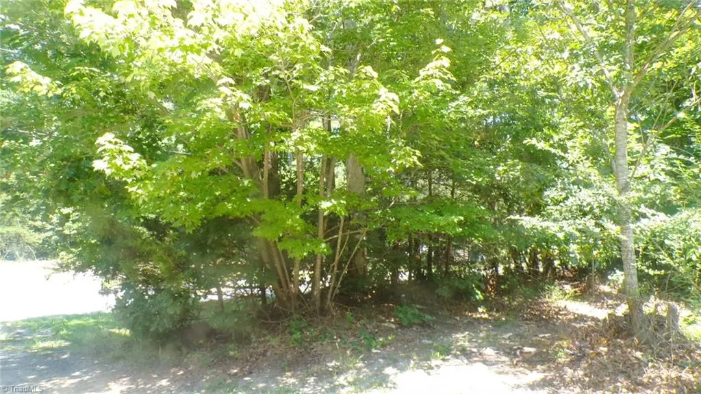 2581 Carl Allred Road, Franklinville, NC 27248 - #1