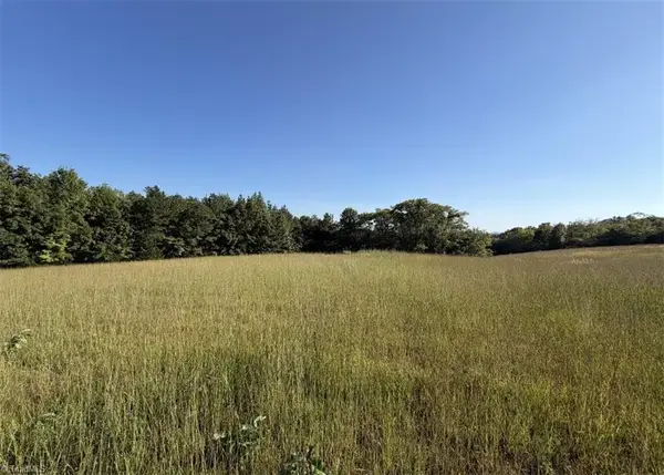 0 Soapstone Mountain Road, Liberty, NC 27298