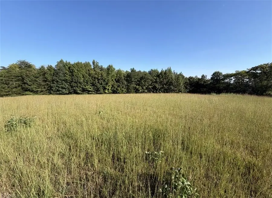 0 Soapstone Mountain Road, Liberty, NC 27298 - #2