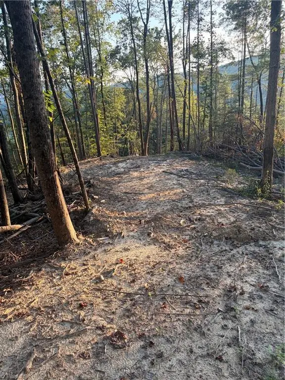 TBD Lot 2 Old Nc Highway 16, Millers Creek, NC 28651 - #1