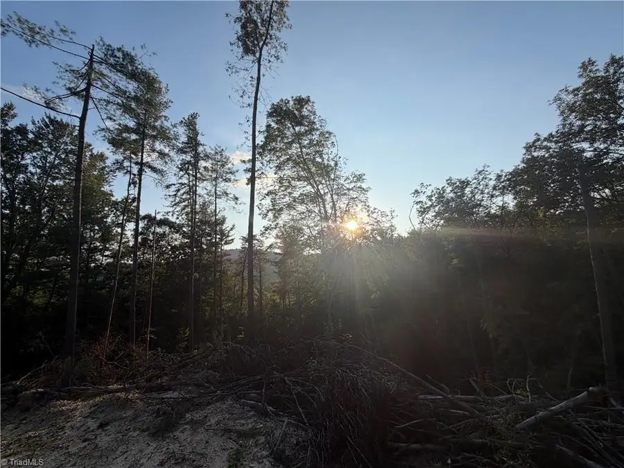 TBD Lot 2 Old Nc Highway 16, Millers Creek, NC 28651 - #2