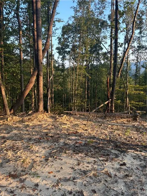 TBD Lot 2 Old Nc Highway 16, Millers Creek, NC 28651 - #3