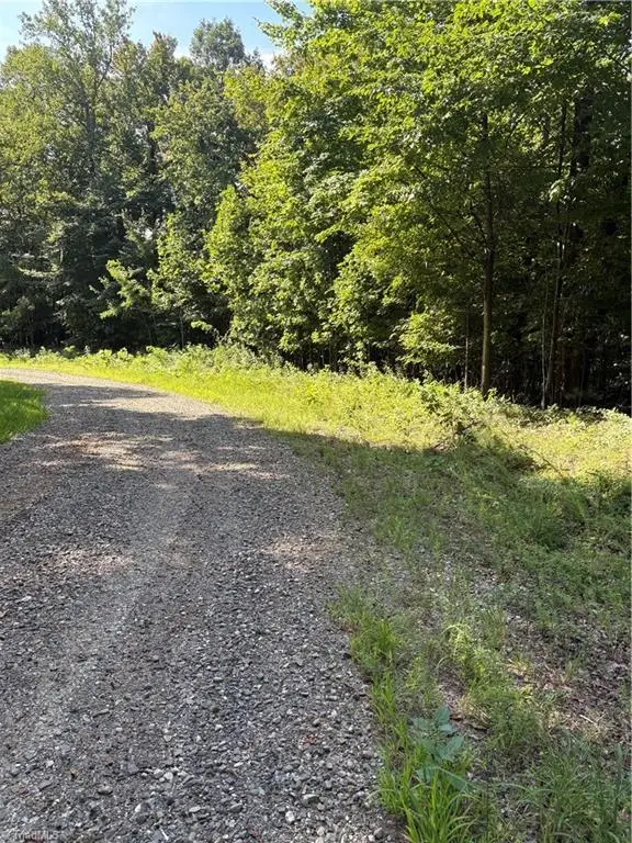 Lot 4 Falcon Ridge Drive, Moravian Falls, NC 28654 - #1