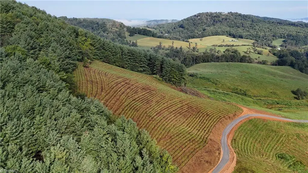 00 Lot 101 Irwin Grocery Road, Laurel Springs, NC 28644 - #1