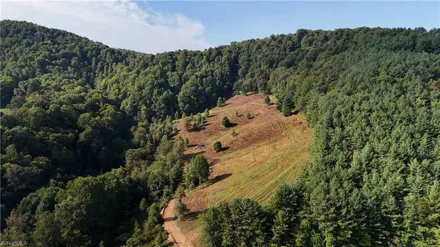 00 Lot 103 Irwin Grocery Road, Laurel Springs, NC 28644 - #2