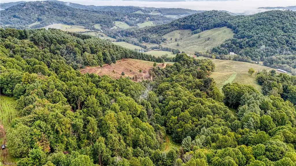 00 Lot 106 Irwin Grocery Road, Laurel Springs, NC 28644 - #1