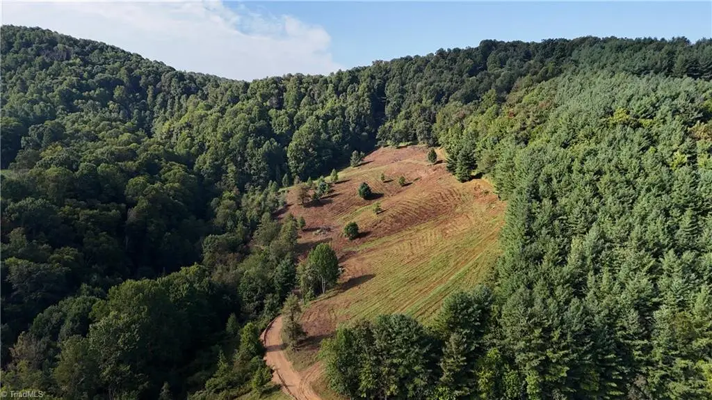 00 Lot 105 Irwin Grocery Road, Laurel Springs, NC 28644 - #1