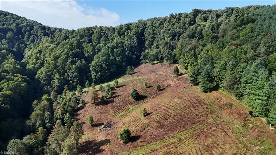 00 Lot 105 Irwin Grocery Road, Laurel Springs, NC 28644 - #2