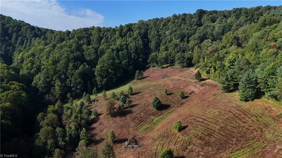 00 Lot 105 Irwin Grocery Road, Laurel Springs, NC 28644 - #3