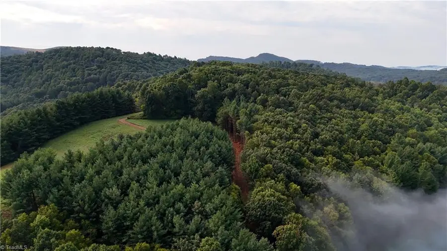 00 Lot 18 New Hope Church Road, Laurel Springs, NC 28644 - #3
