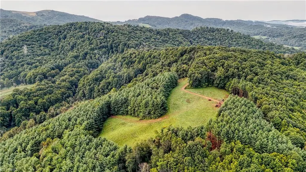 00 Lot 20 New Hope Church Road, Laurel Springs, NC 28644 - #1