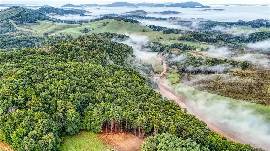 00 Lot 21 New Hope Church Road, Laurel Springs, NC 28644 - #3